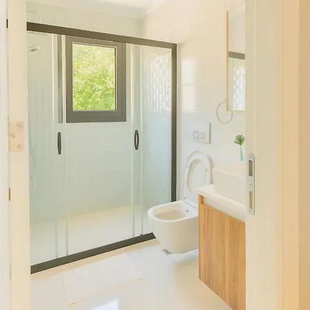 Dream