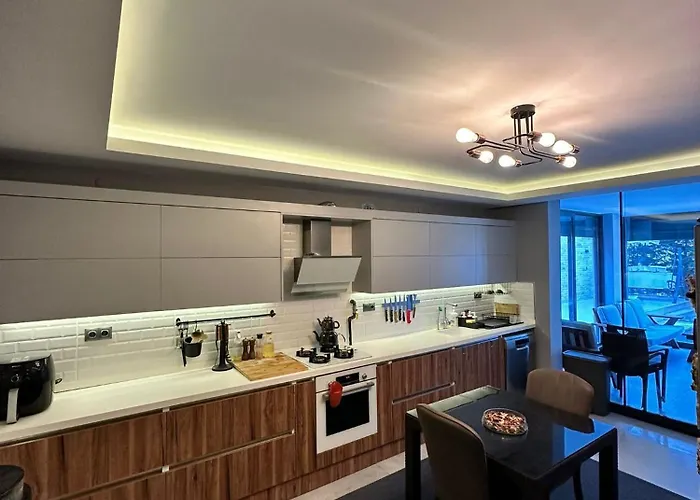 Vibavilla Dream 쿠사다시